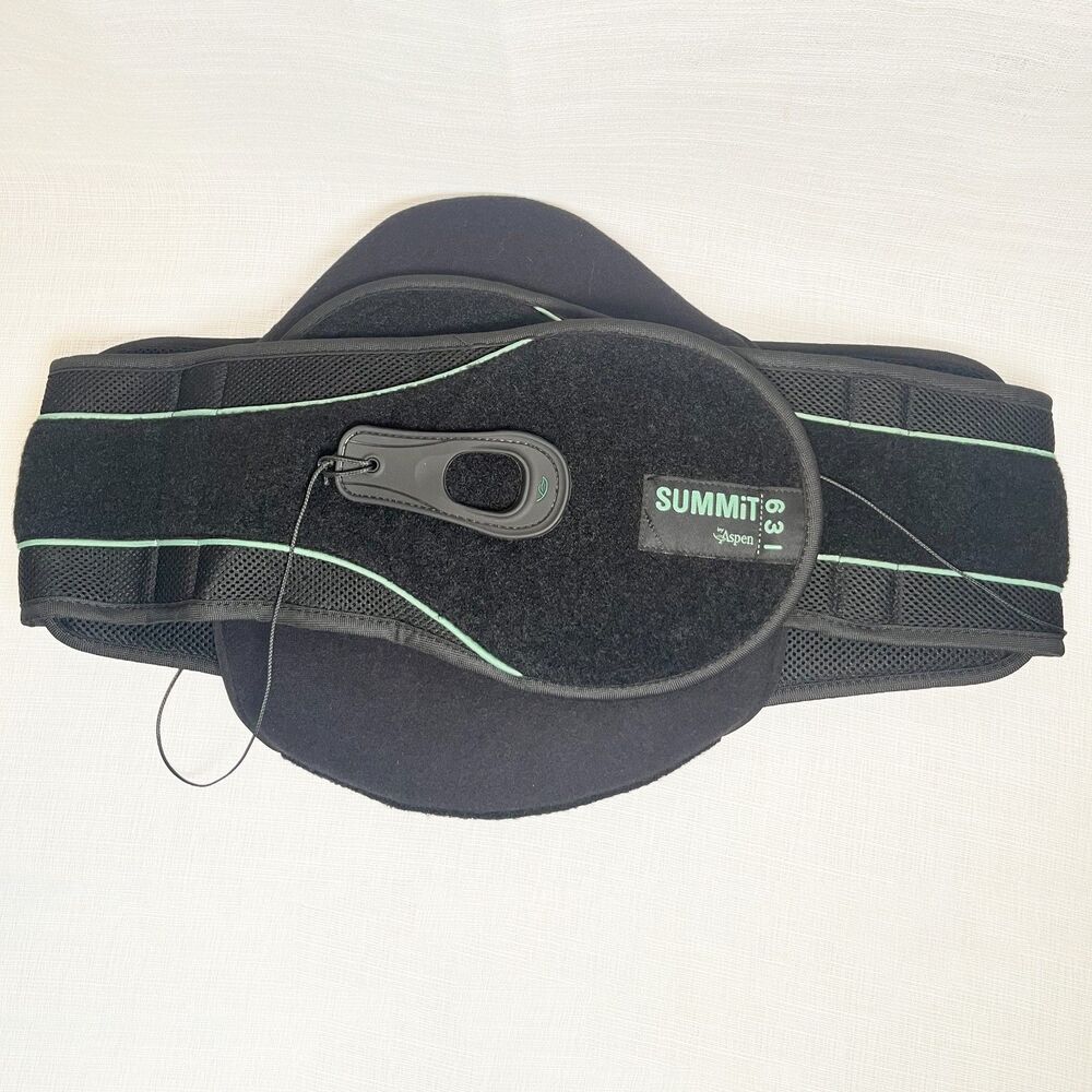 Aspen Summit 631 LSO Lumbar Back Brace Adjustable Support Size Large Adult Black